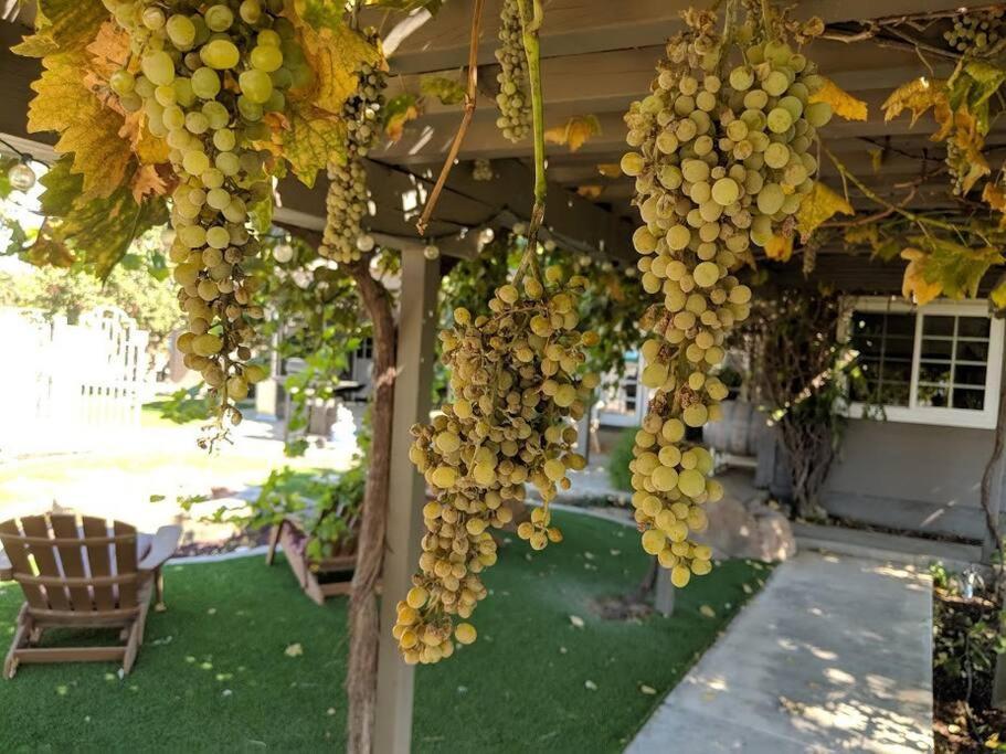 The Vineyard Farmhouse Villa Пасо-Роблес Екстер'єр фото