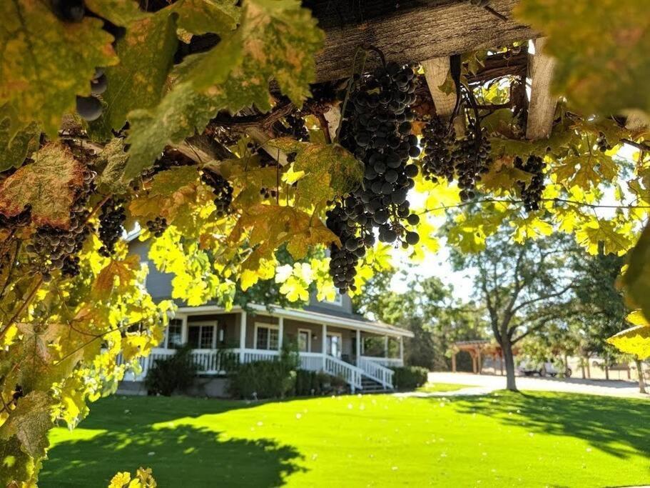 The Vineyard Farmhouse Villa Пасо-Роблес Екстер'єр фото